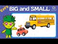 Understanding Big and Small