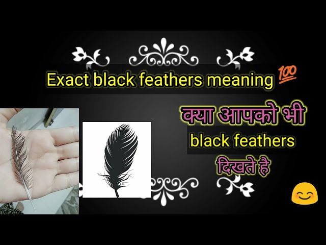 Black Feather Meaning And Symbolism