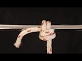 How to tie an anchor hitch variant knot  whyknot