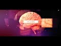 The human brain anatomy - nervous system