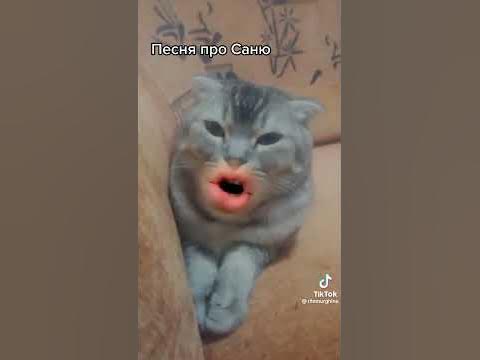 песня про САШУ - YouTube