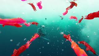 Foolish Pleasures White Marlin Open 2019 dredge cam
