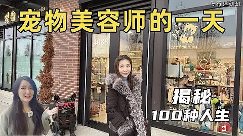 揭秘🐶宠物美容师Boss🐱的一天✂️【100种人生】 - 天天要闻