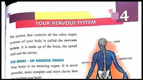 Science for class 5, Chapter 4 (Your Nervous System)