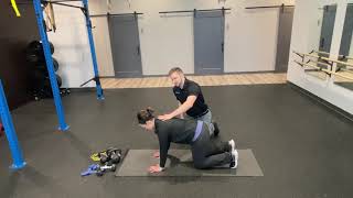 Shoulder Stability: Quadruped Rock