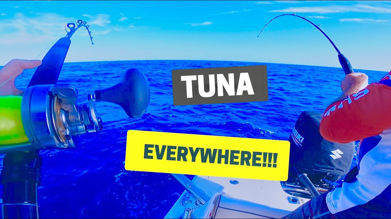 Afternoon Tuna Trolling. Fish Everywhere!