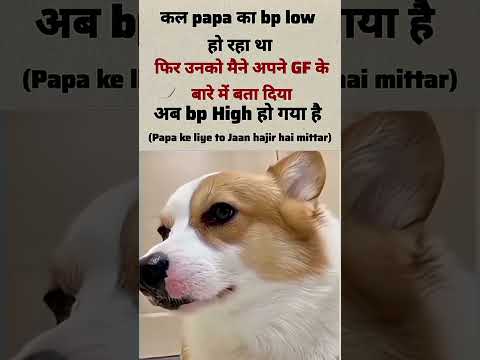 gf ji😂 #dallas #funny#funny #love#dogmeme#jokes#comedy #memes #bellylaughs#gaming#laughnonstop 720p