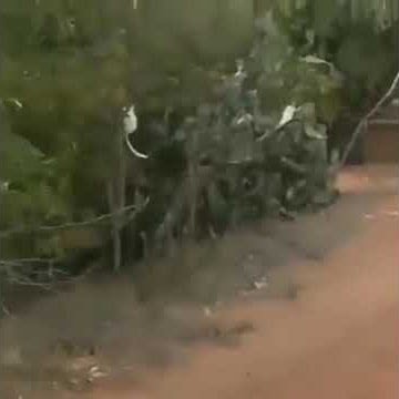 story wa lucu#story wa keren#story wa gokil#sesok prei#viral