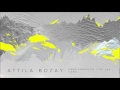 Attila Bozay - Piano Sonata No. 1, Op. 33a - I. Con moto ma poco sostenuto