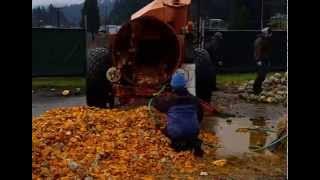 Organic Squash Processing