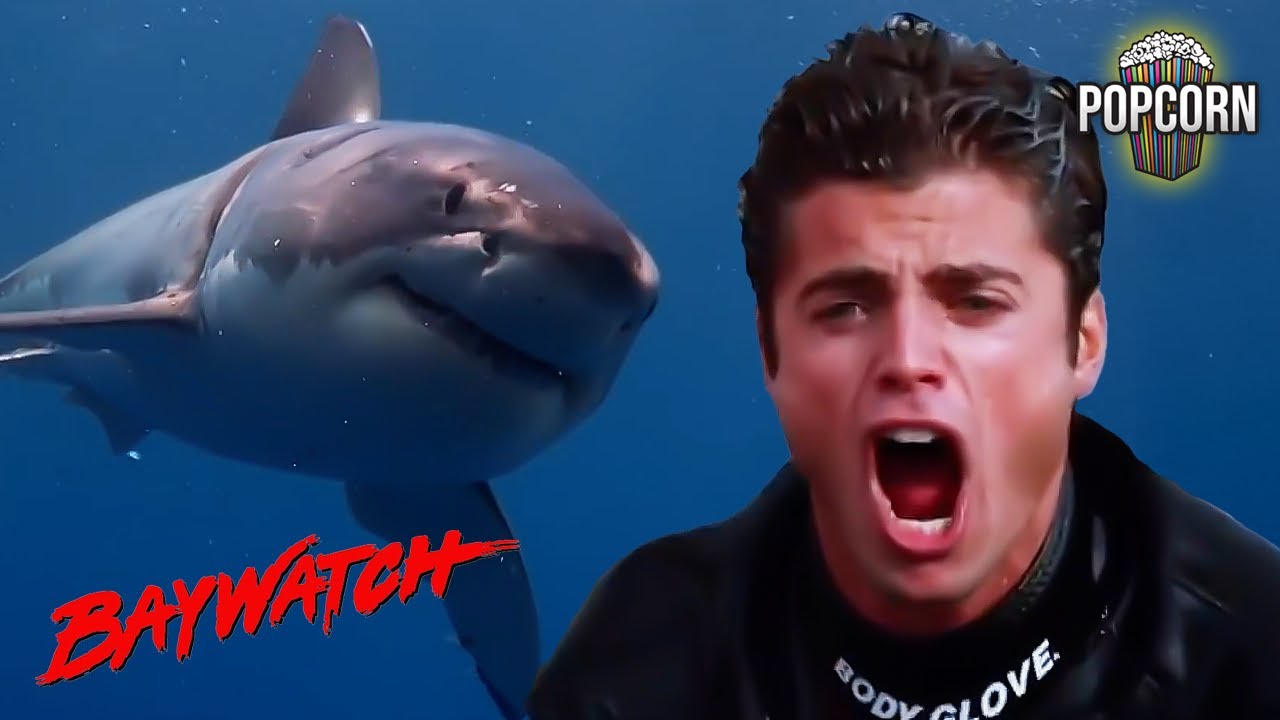 HELP THEM! TOP 7 SCARIEST Rescues on Baywatch!