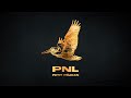 Capture de la vidéo Pnl // Petit Pélican (Remastered)