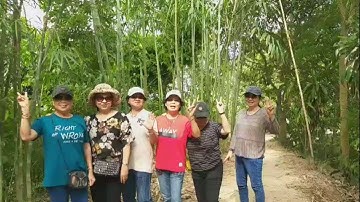 THAM QUAN AO SEN CÙ LAO TÂN LỘC . THỐT NỐT . CẦN THƠ