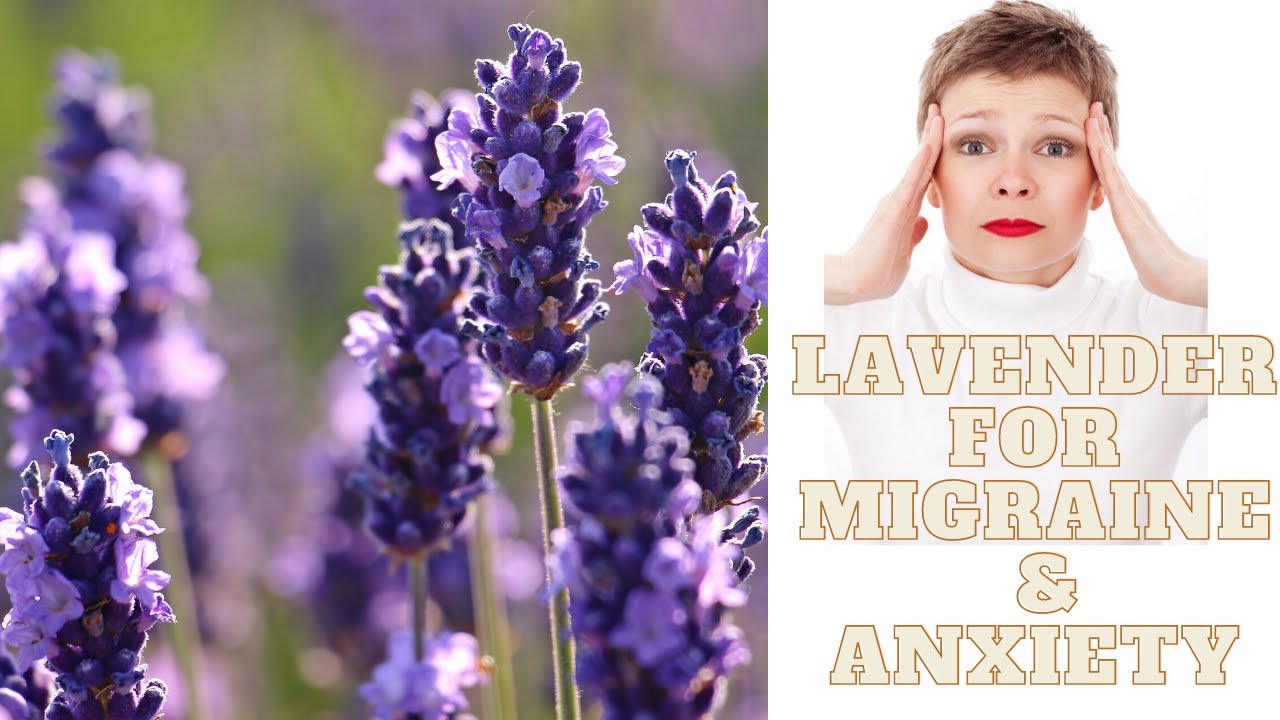 LAVENDER FOR MIGRAINE AND ANXEITY YouTube