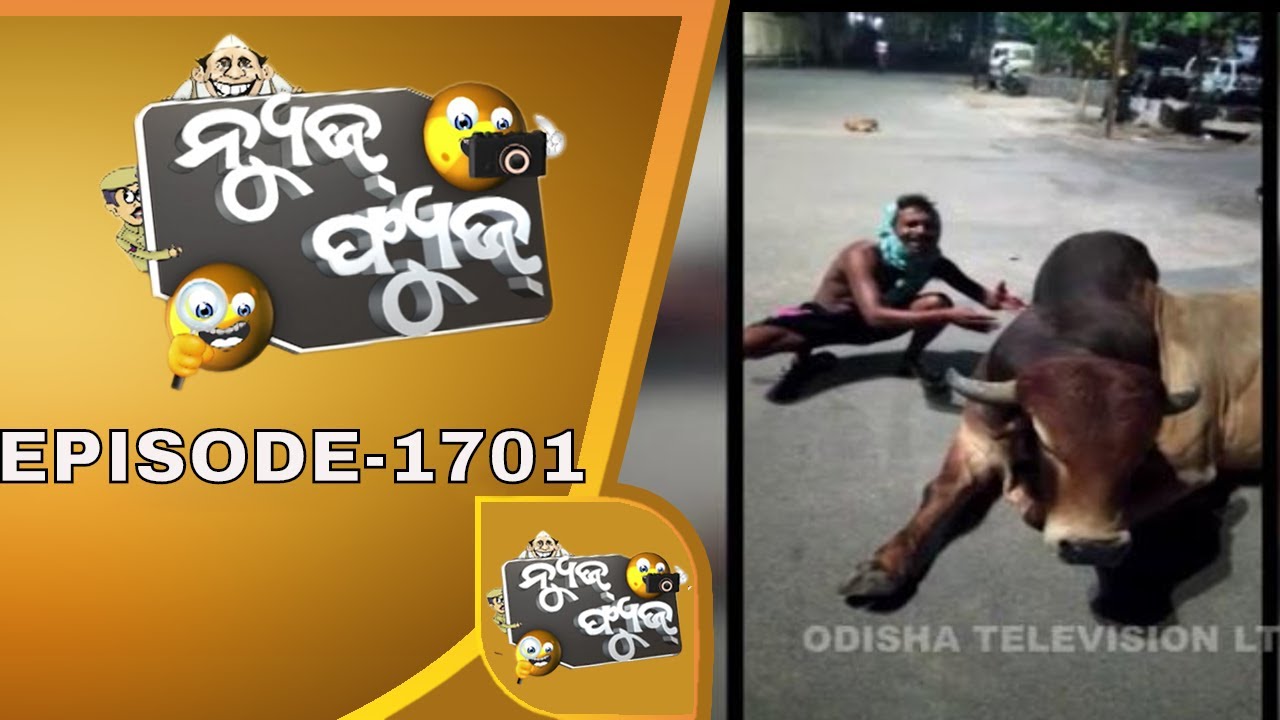 News Fuse 13 July 2020 | ଷଣ୍ଢ ପିଠିରେ ଷଣ୍ଢ | କୁକୁର ଦେଲା ପାନେ | ଯଜ୍ଞ କରି ଜେଲ