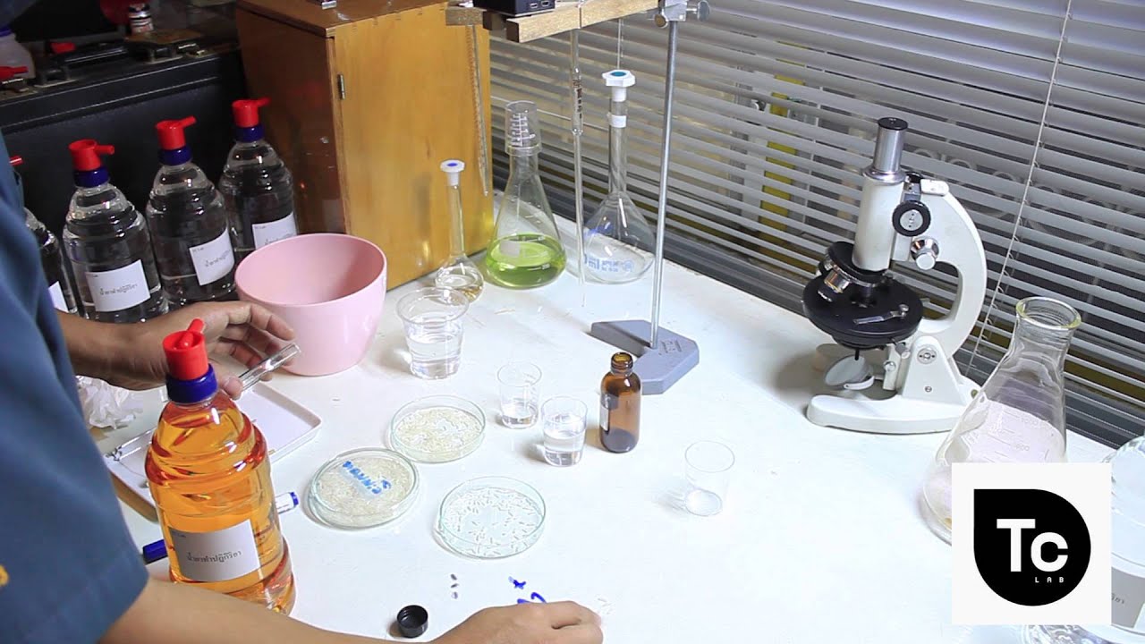 วิธีใช้น้ำยาตรวจสอบข้าว อะมิโลสสูง ที่ปนมาในข้าวหอมมะลิ [Full HD]