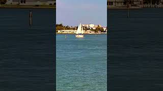 Boats of Boca Ciega Bay, St. Petersburg FL — June 17th, 2026 #shorts
