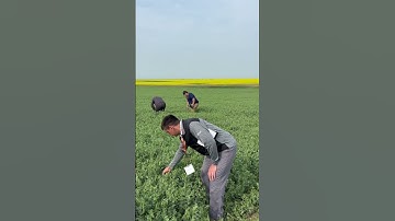 At the CropWatch Innovation Tour, we’re not just learning about agronomy