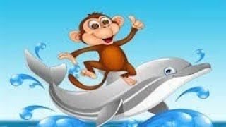 The monkey and the dolphin (nice short story)