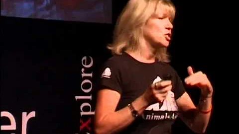 TEDxPearlRiver - Jill Robinson - Welfare of Animals