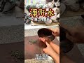 淨肝水#养生  #食补  #喝出好气色  #药食同源  # 健康养生#养生茶 #中药养生#健康科普#养生有道#健康养生#喝出好气色#食疗养生#食療養生
