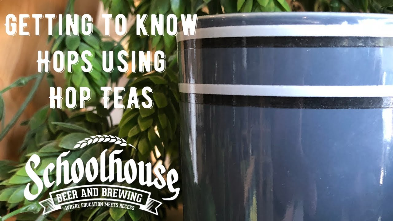 Getting to Know Hops by Using Hop Teas (Grains to Glass S2C3 2018 ...
