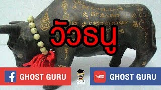 GHOST guru EP101 - วัวธนู