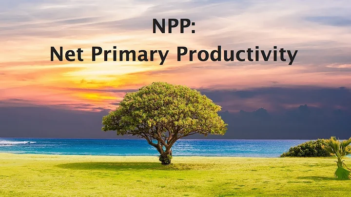 Net Primary Productivity