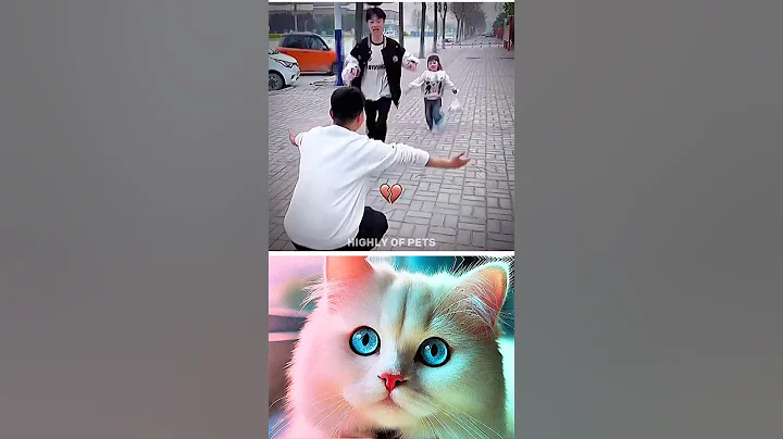 Watch the video about Girl angry 😤 #cat #funny #dance #newshorts