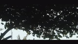 Story wa,ra sah ngurusi