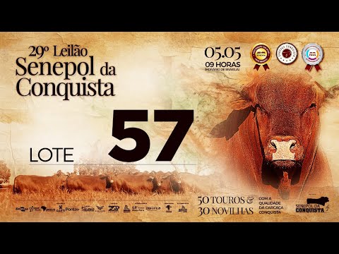 LOTE 57 CONQ 2688