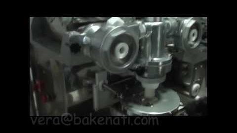 SV-208 Encrusting machine