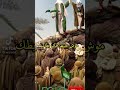 مبارك لكم عيد الغدير