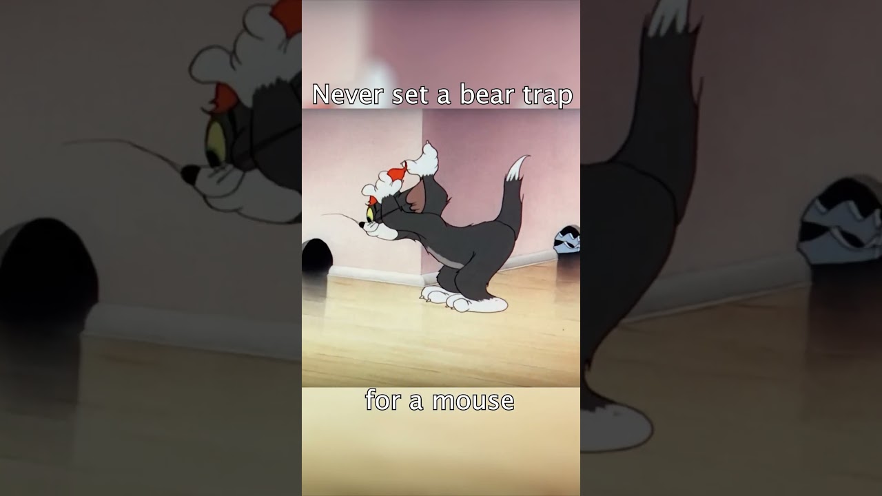 Rookie mistake 😬 | Tom & Jerry | @GenerationWB