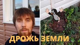 Что нового? // Ни о чем и обо всем // Нескучная жизнь в деревне