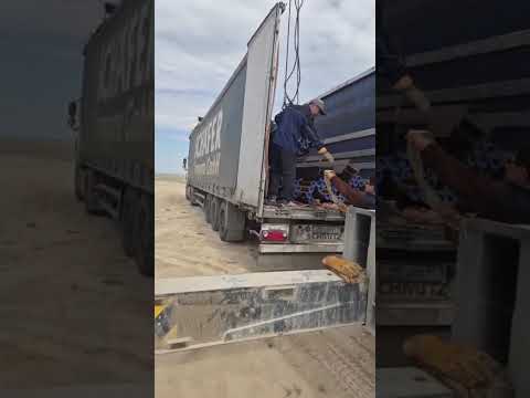 Разгрузка фуры на объекте