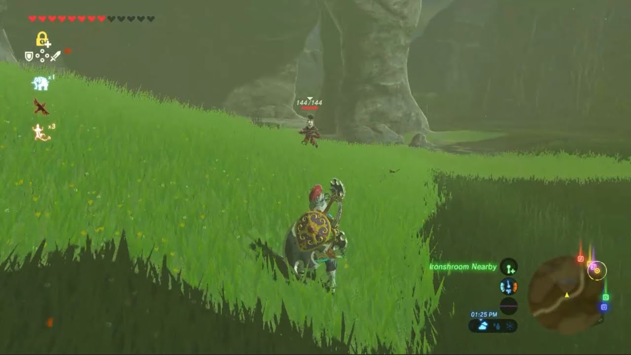 A compilation of breath of the wild tips￼