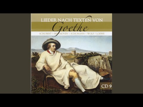 Wanderers Nachtlied Über