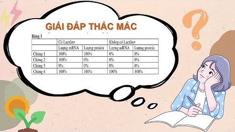 Cấu trúc của operon bao gồm những thành phần nào năm 2024