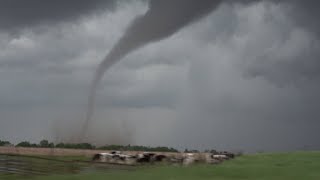 Two Large Tornadoes Near Milroy, Indiana by StormChasingVideo 9,925 views 6 days ago 1 minute, 55 seconds