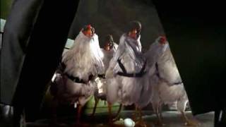 Pilgrim's Pride "Jumping In"