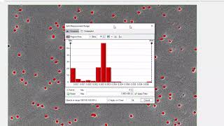 Image-Pro v11: Materials Protocols - Pores