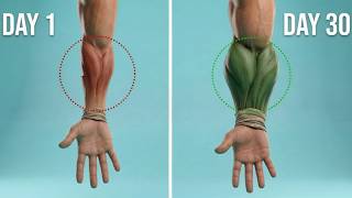 Want BIGGER Forearms? DO THESE (3 Best Forearms Exercises)