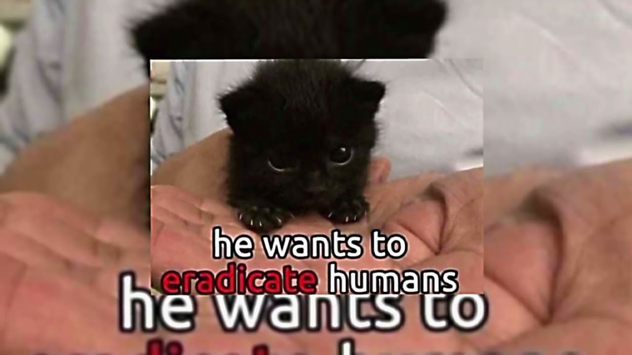 Dedina - Ščamba // nightcore