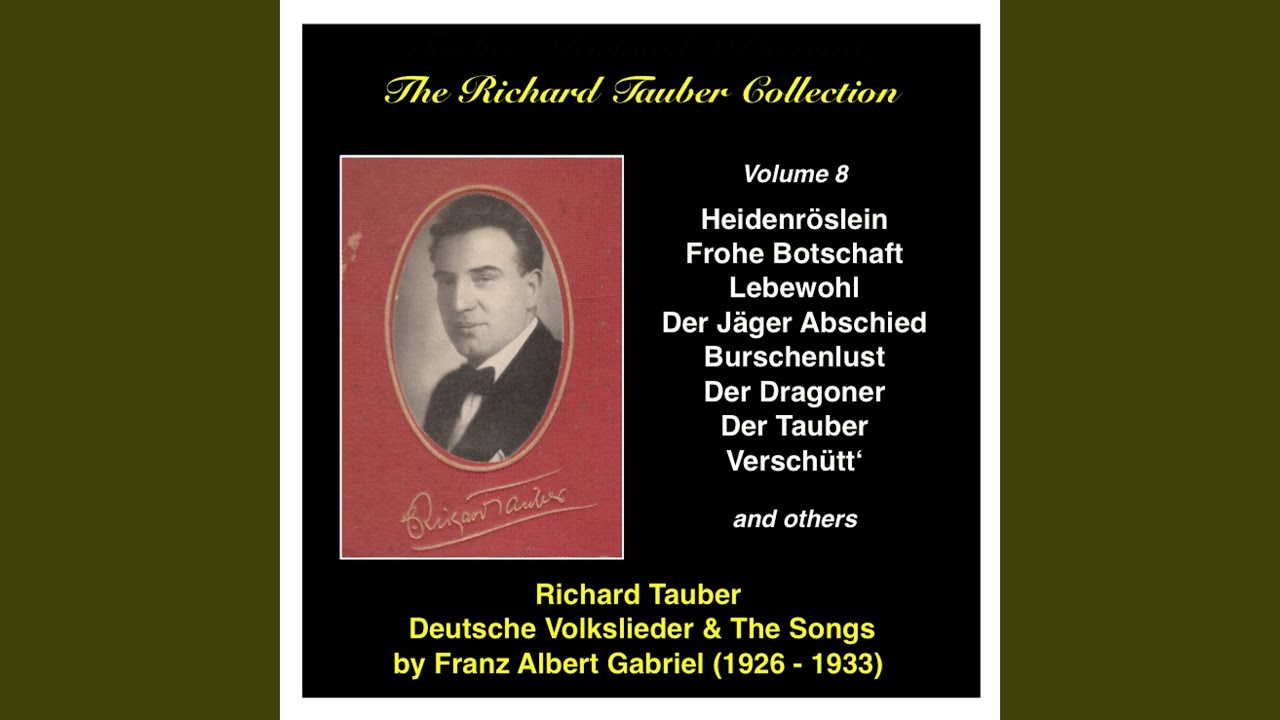 Schwanengesang, D. 957: No. 13. Der Doppelgänger