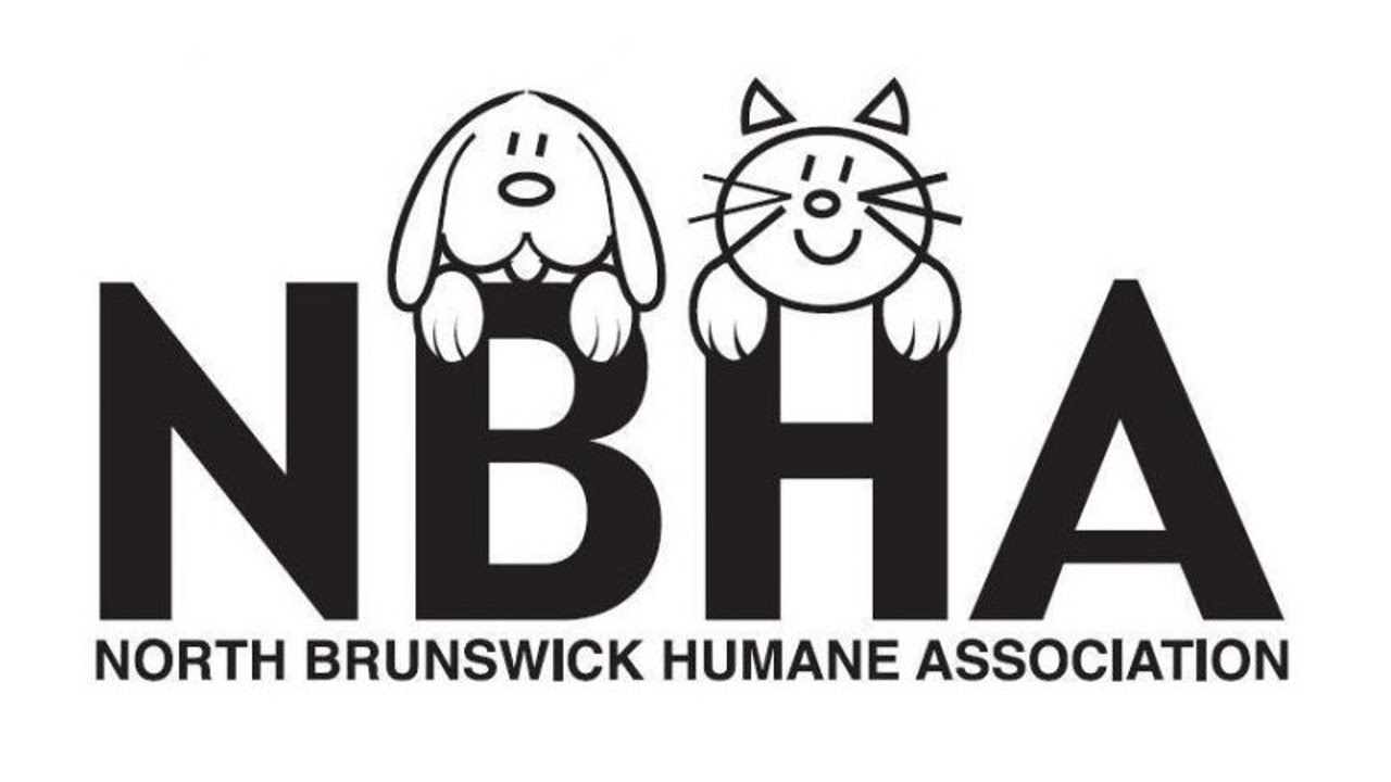 Pet Nutrition part 1 - YouTube