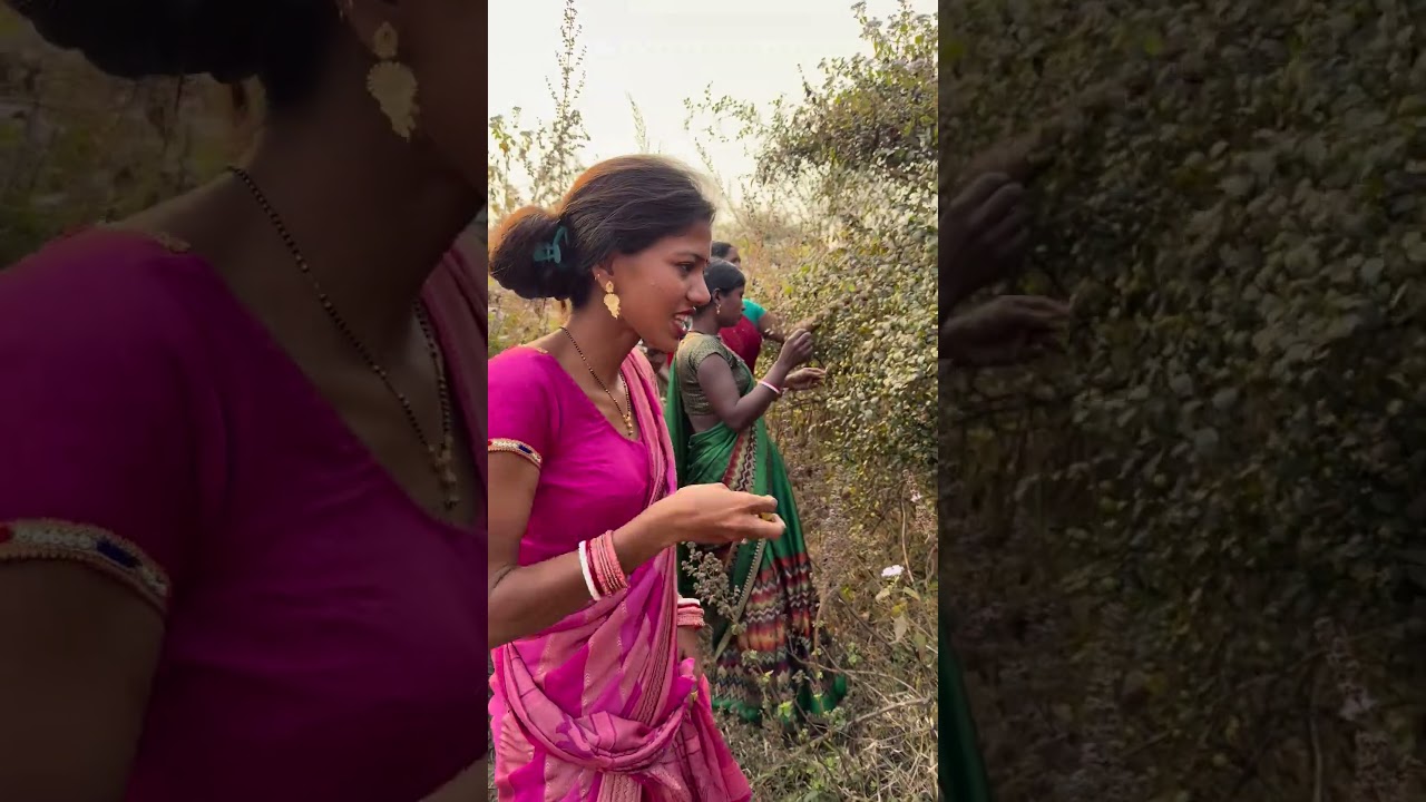 इतना खट्टा बैर नहीं खाया था हमने 