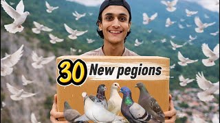 30 New Kabuter Lay Per Bandy Bgair Hi Azad Kar Dia ?????