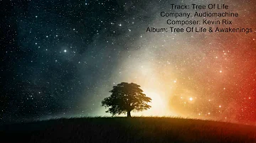 Audiomachine - Tree Of Life | Beautiful Uplifting Inspiring