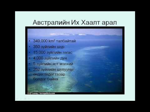 Видео: Хотыг хамарсан биологийн олон янз байдал